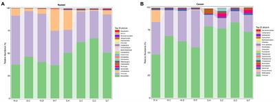 Dietary protein to starch metabolizable energy ratios alter growth performance and gastrointestinal microbiota of calves